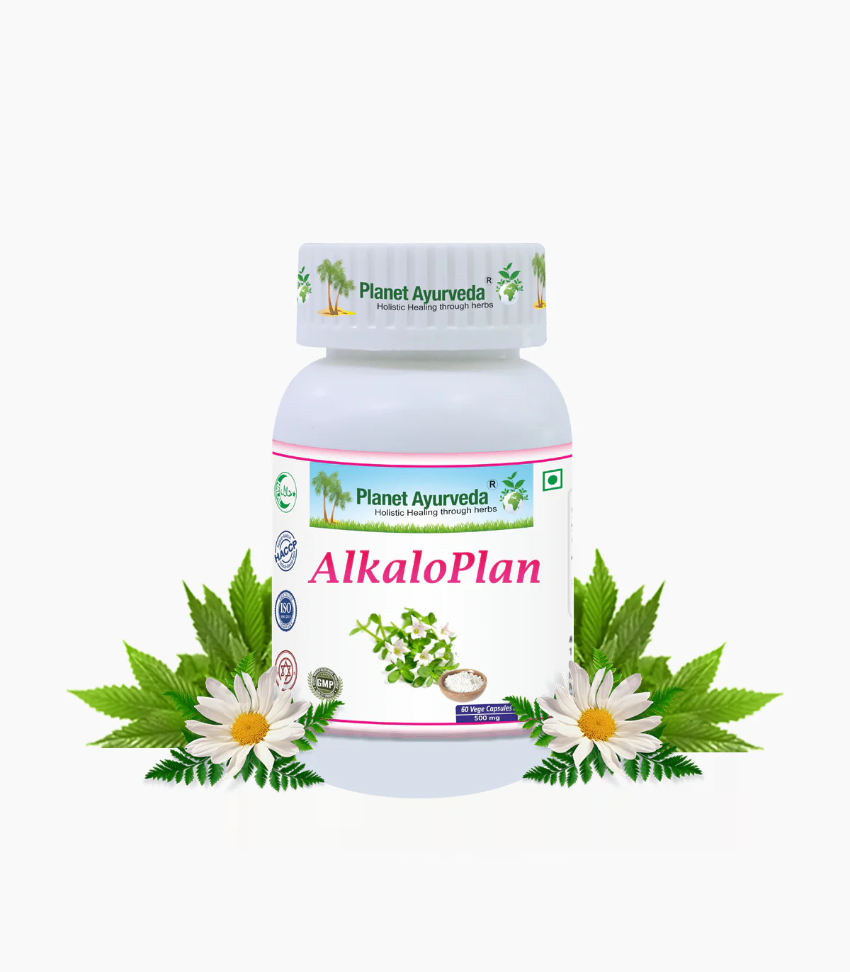 ALKALOPLAN CAPSULES