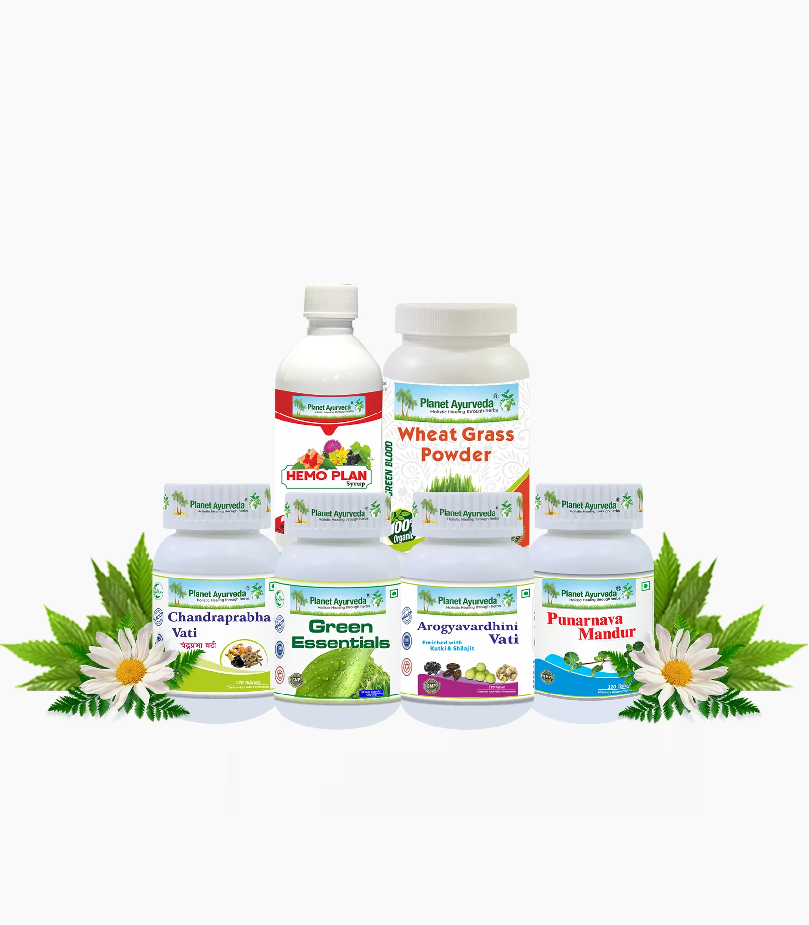 ANEMIA CARE PACK [ID-103]