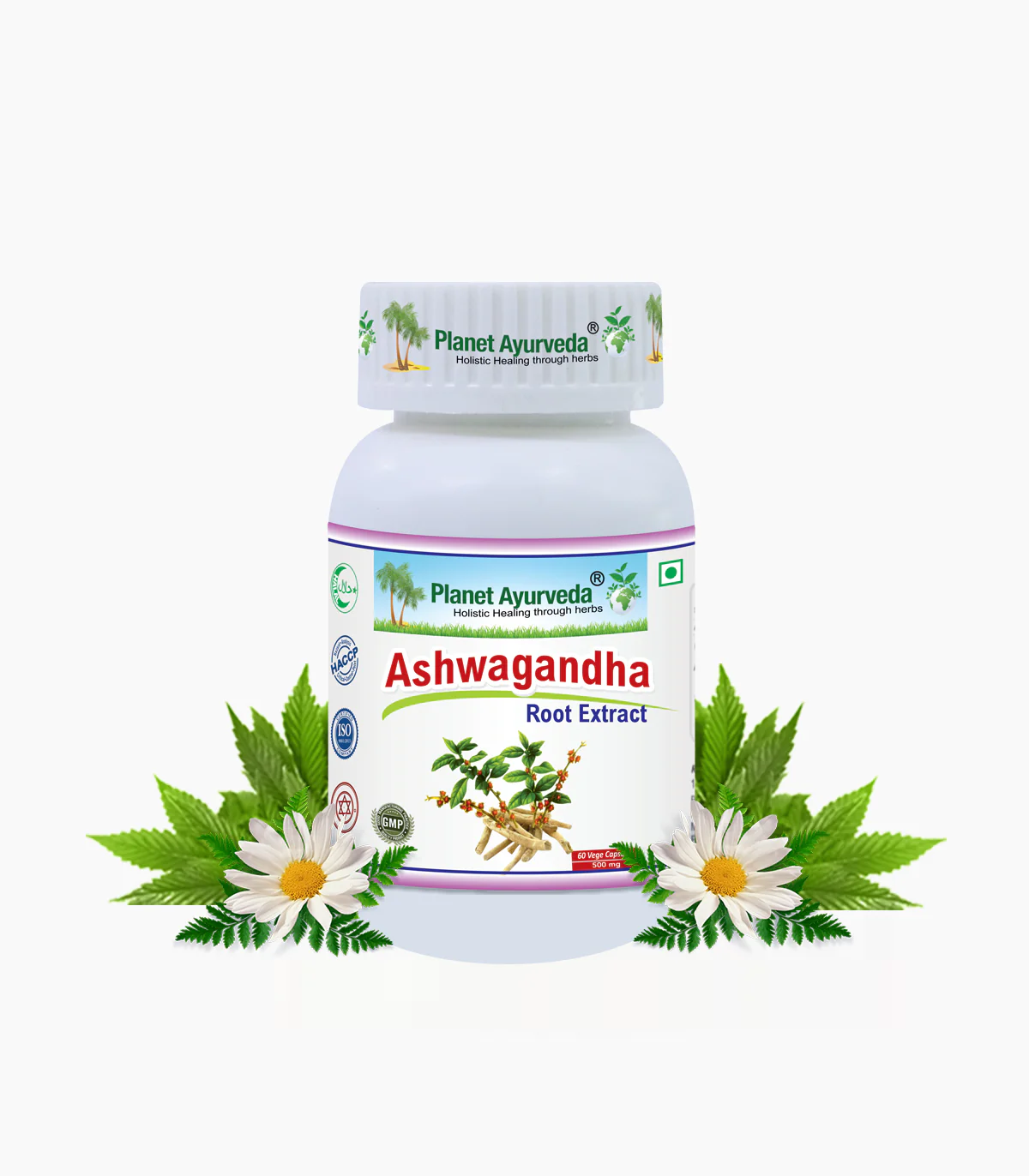 ASHWAGANDHA CAPSULES