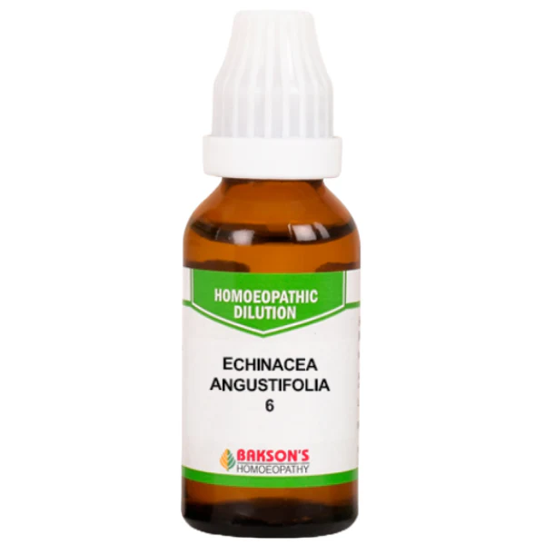 BAKSON'S HOMEOPATHY ECHINACEA ANGUSTIFOLIA DILUTION 6 - PACK OF 4 (30 ML EACH)