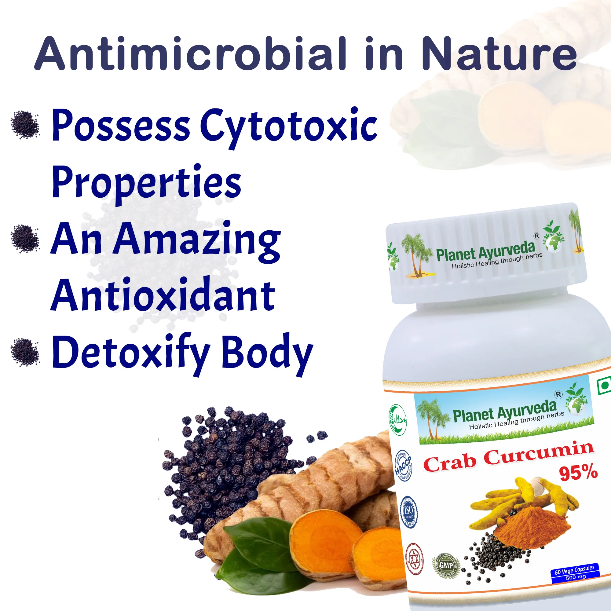 CRAB CURCUMIN 95% - Image 2