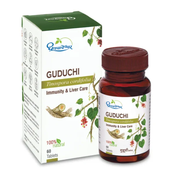 DHOOTAPAPESHWAR GUDUCHI TABLETS - PACK OF 6 (60 TABS EACH)