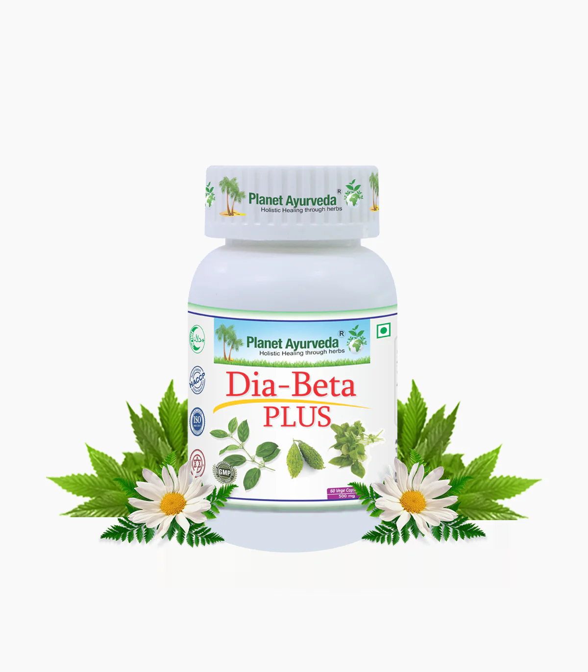DIA-BETA PLUS
