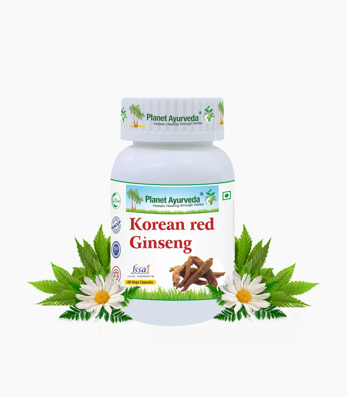 KOREAN RED GINSENG