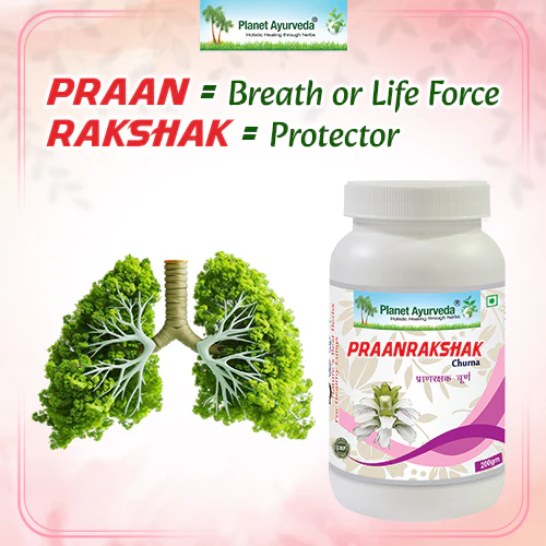 PRAANRAKSHAK CHURNA - Image 2