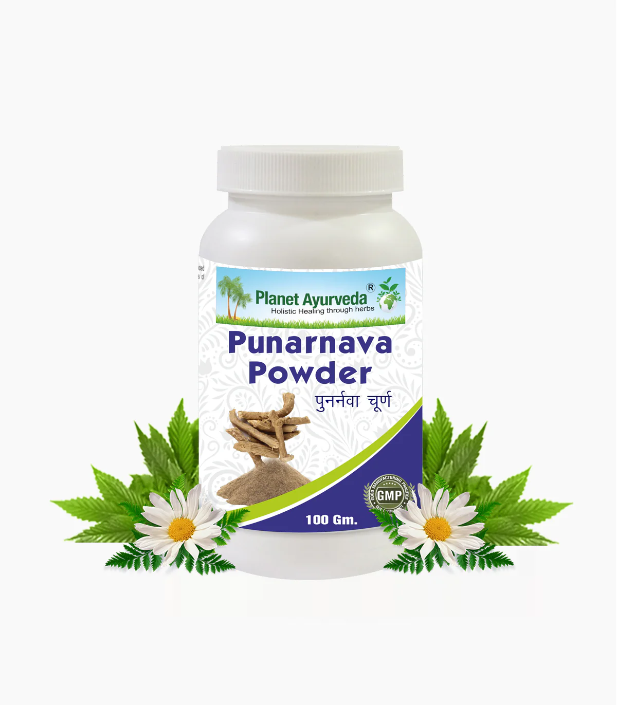 PUNARNAVA POWDER