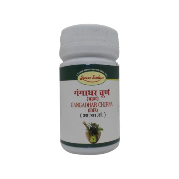 Seva Sadan Gangadhar Churna BR (60 GM)