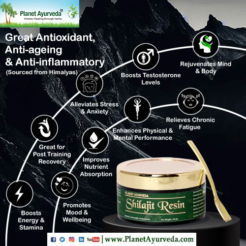 SHILAJIT RESIN - Image 2