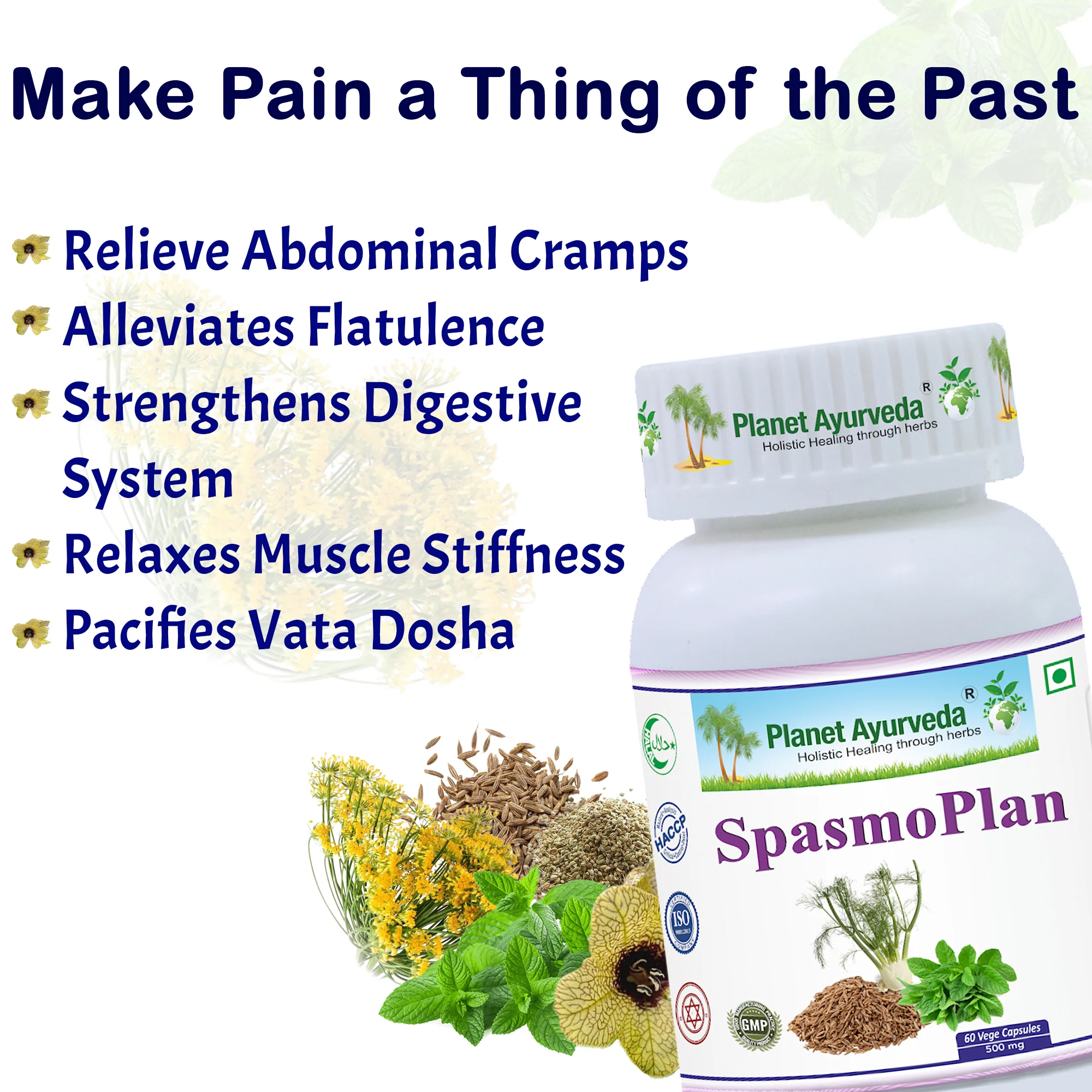 SPASMOPLAN CAPSULES - Image 2