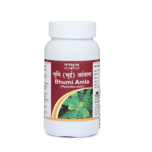 TANSUKH BHUMI AMLA CHURNA (100 GRAM)-Pack of 4