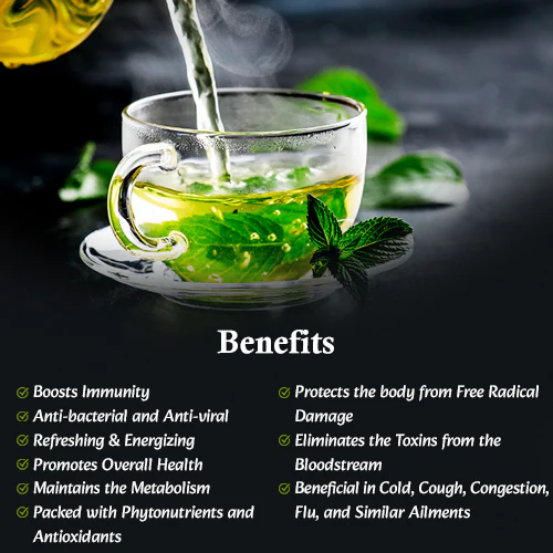 TULSI GREEN TEA - Image 2