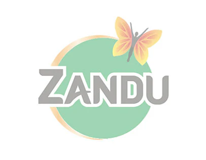 ZANDU NEEM CHURNA (100 GM)-Pack of 5